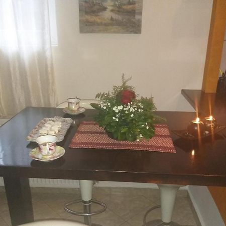 Apartman Nv Apartment Vrnjacka Banja Ngoại thất bức ảnh