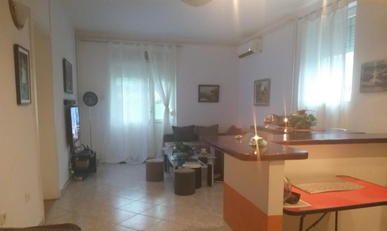 Apartman Nv Apartment Vrnjacka Banja Ngoại thất bức ảnh