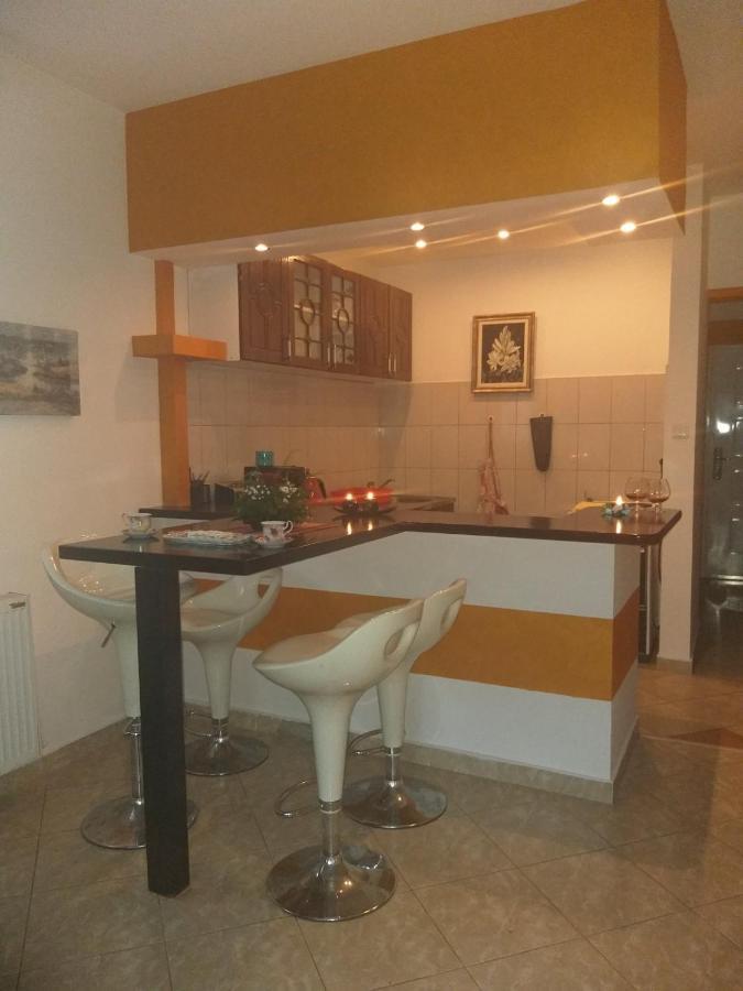 Apartman Nv Apartment Vrnjacka Banja Ngoại thất bức ảnh
