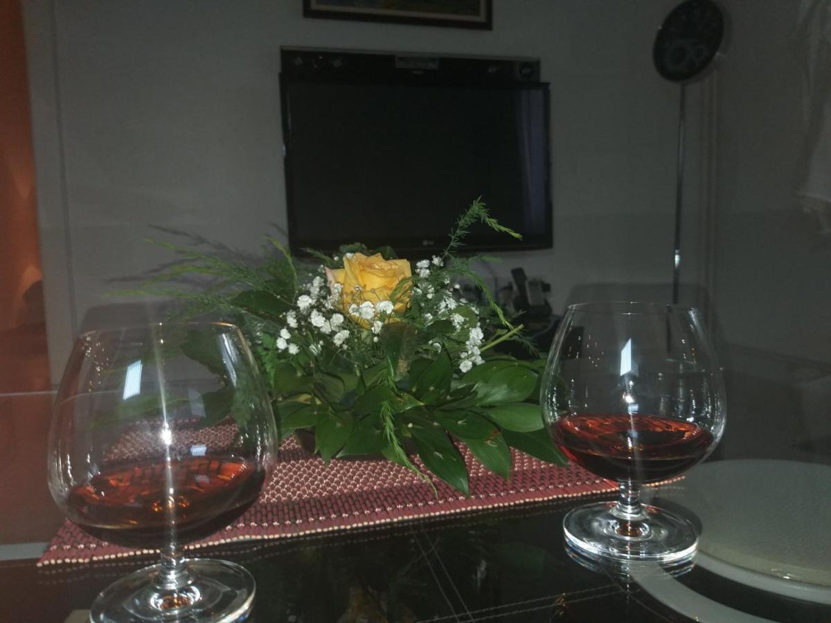 Apartman Nv Apartment Vrnjacka Banja Ngoại thất bức ảnh