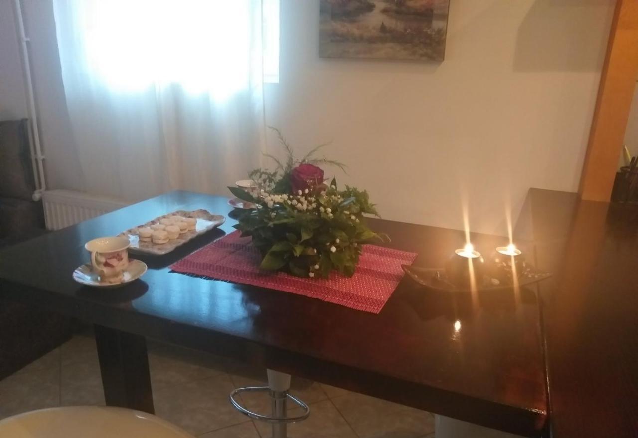 Apartman Nv Apartment Vrnjacka Banja Ngoại thất bức ảnh