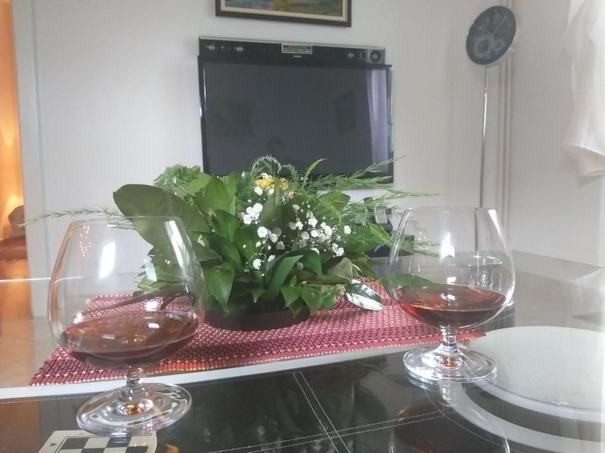 Apartman Nv Apartment Vrnjacka Banja Ngoại thất bức ảnh