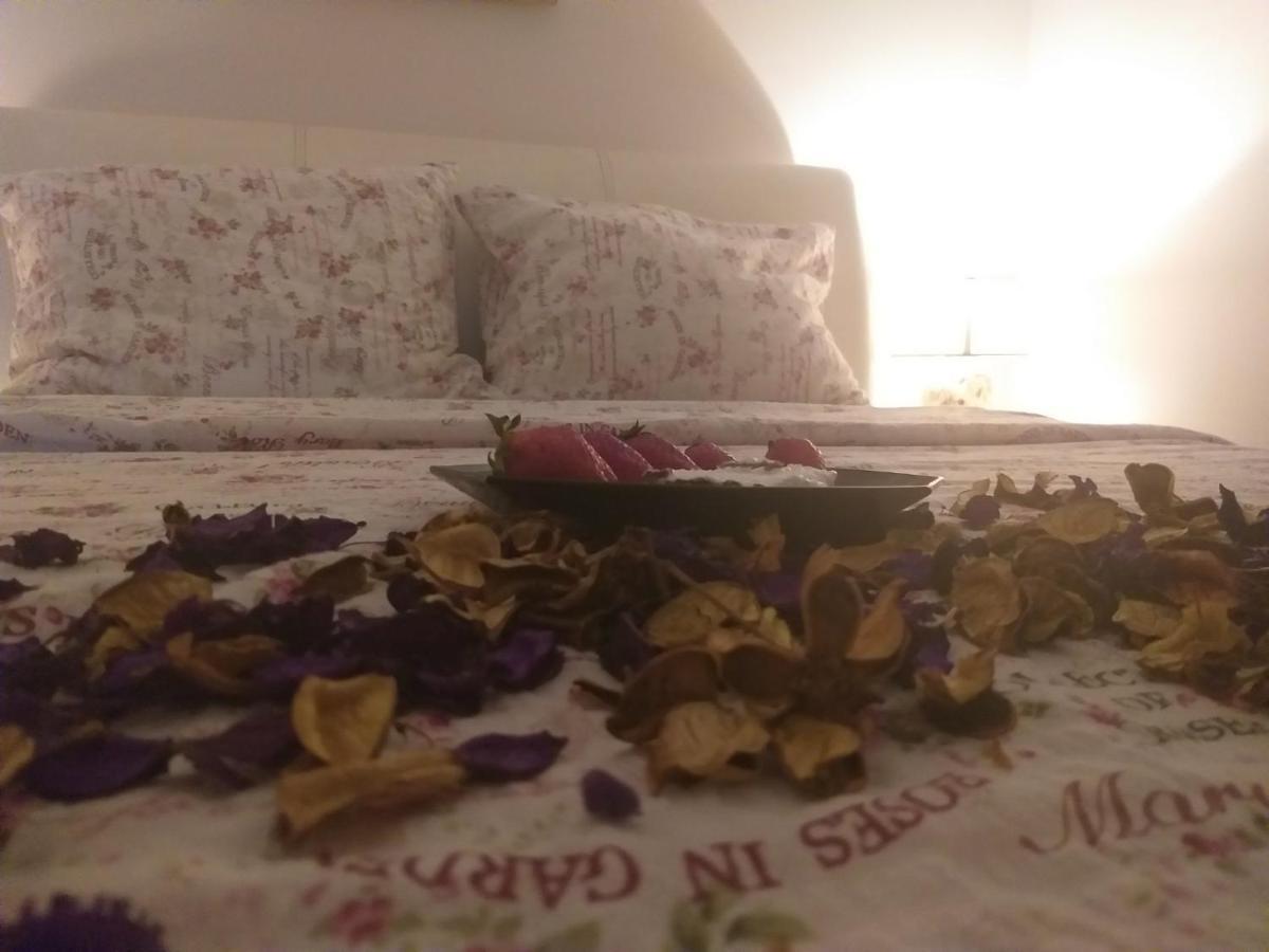 Apartman Nv Apartment Vrnjacka Banja Ngoại thất bức ảnh